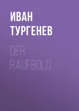 Iwan Turgenew Der Raufbold обложка книги