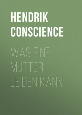 Hendrik Conscience Was eine Mutter leiden kann обложка книги