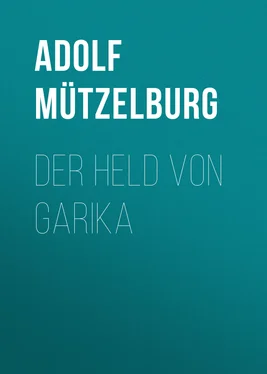 Adolf Mützelburg Der Held von Garika обложка книги