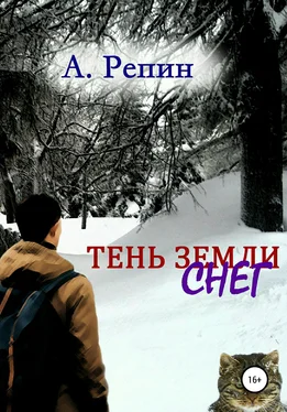 Андрей Репин Тень Земли: Снег обложка книги