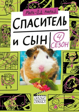 Мари-Од Мюрай Спаситель и сын. Сезон 4 обложка книги