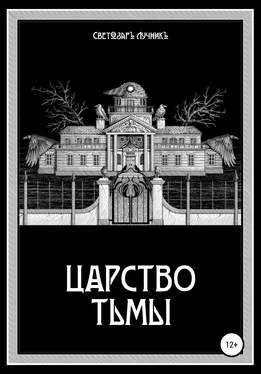 Светозаръ Лучникъ Царство Тьмы обложка книги