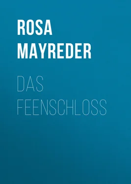 Rosa Mayreder Das Feenschloss обложка книги