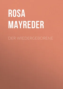 Rosa Mayreder Der Wiedergeborene обложка книги