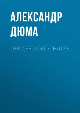 Alexandre Dumas der Ältere Der Geflügelschütze обложка книги