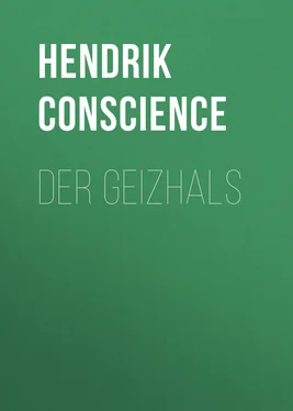 Hendrik Conscience Der Geizhals обложка книги