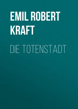 Emil Robert Kraft Die Totenstadt обложка книги