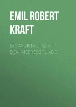 Emil Robert Kraft Die Ansiedlung auf dem Meeresgrunde обложка книги