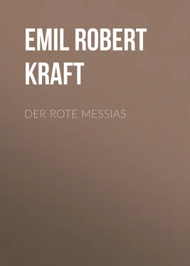 Emil Robert Kraft Der rote Messias обложка книги