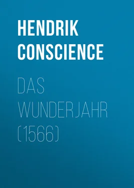 Hendrik Conscience Das Wunderjahr (1566) обложка книги