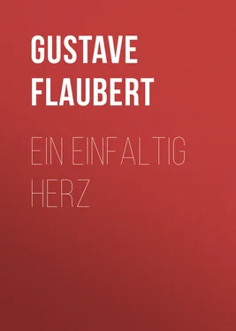 Gustave Flaubert Ein einfaltig Herz обложка книги