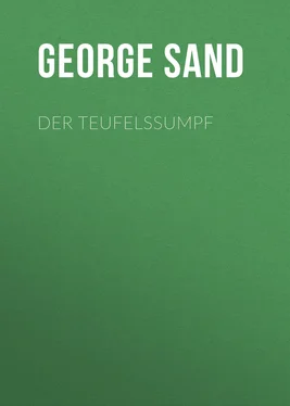 George Sand Der Teufelssumpf обложка книги