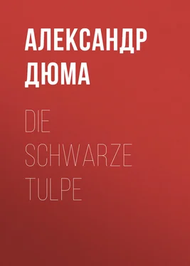 Alexandre Dumas der Ältere Die schwarze Tulpe обложка книги