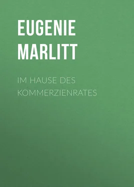 Eugenie Marlitt Im Hause des Kommerzienrates обложка книги