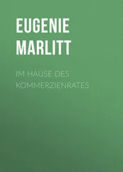 Eugenie Marlitt - Im Hause des Kommerzienrates