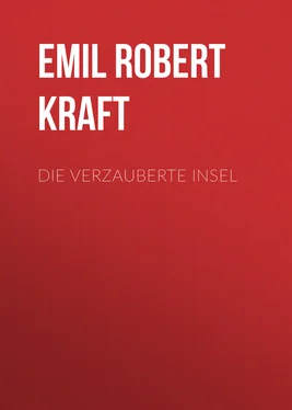 Emil Robert Kraft Die verzauberte Insel обложка книги