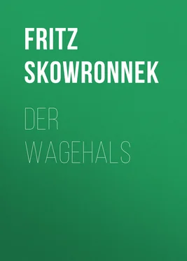Fritz Skowronnek Der Wagehals обложка книги
