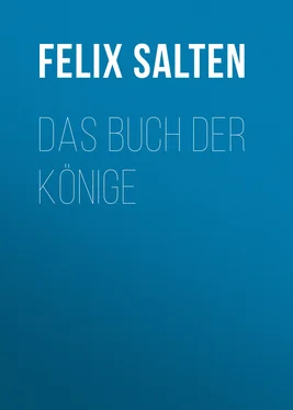 Felix Salten Das Buch der Könige обложка книги