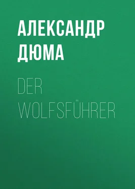 Alexandre Dumas der Ältere Der Wolfsführer обложка книги