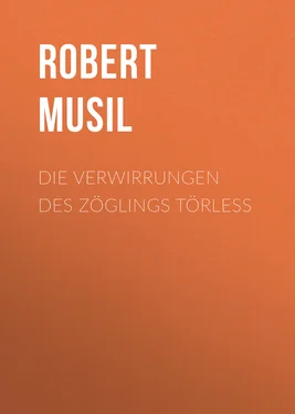 Robert Musil Die Verwirrungen des Zöglings Törless обложка книги