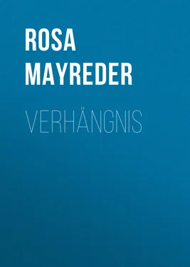 Rosa Mayreder Verhängnis обложка книги