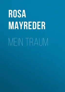 Rosa Mayreder Mein Traum обложка книги