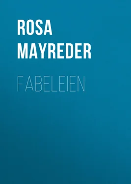 Rosa Mayreder Fabeleien обложка книги