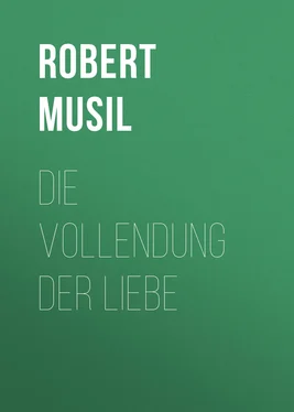 Robert Musil Die Vollendung der Liebe обложка книги