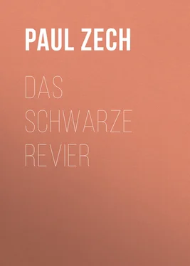 Paul Zech Das schwarze Revier обложка книги