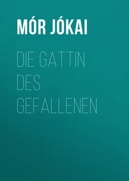 Mór Jókai Die Gattin des Gefallenen обложка книги