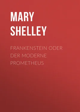 Mary Shelley Frankenstein oder Der moderne Prometheus обложка книги