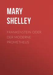 Mary Shelley - Frankenstein oder Der moderne Prometheus