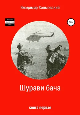 Владимир Холмовский Шурави бача обложка книги