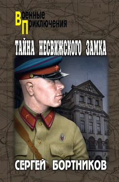 Сергей Бортников Тайна Несвижского замка обложка книги