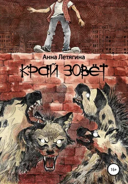 Анна Летягина Край зовёт обложка книги