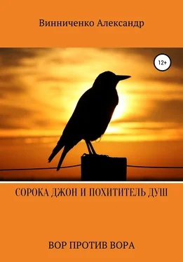 Александр Винниченко Сорока Джон и Похититель душ. Вор против Вора обложка книги