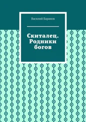 Василий Баранов - Скиталец. Родники богов
