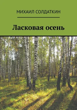 Михаил Солдаткин Ласковая осень обложка книги