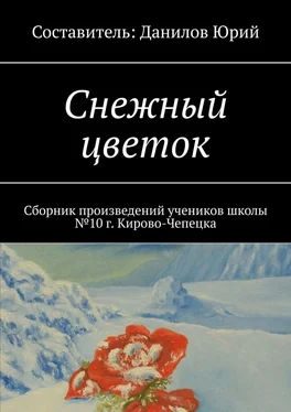 Юрий Данилов Снежный цветок. Сборник произведений учеников школы №10 г. Кирово-Чепецка обложка книги