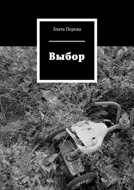 Злата Перова Выбор обложка книги