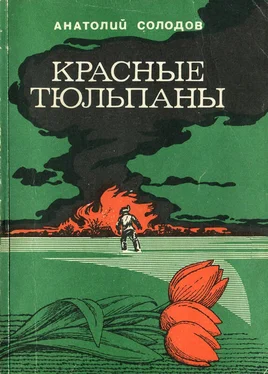 Анатолий Солодов Красные тюльпаны обложка книги