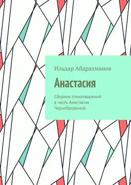 Ильдар Абдрахманов Анастасия. Сборник стихотворений в честь Анастасии Чернобровиной обложка книги