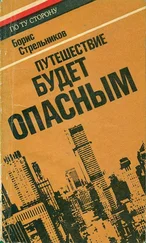 Борис Стрельников - Путешествие будет опасным