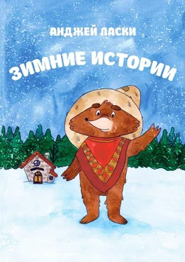 Анджей Ласки Зимние истории обложка книги