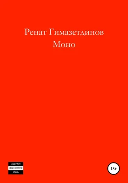 Ренат Гимазетдинов Моно обложка книги