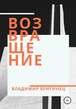 Владимир Бригинец Возвращение обложка книги