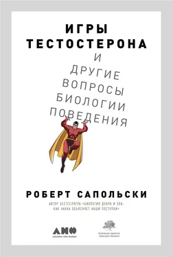 Роберт Сапольски Игры тестостерона и другие вопросы биологии поведения обложка книги