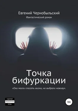 Евгений Чернобыльский Точка бифуркации обложка книги