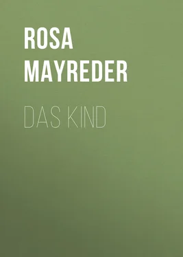 Rosa Mayreder Das Kind обложка книги