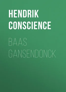 Hendrik Conscience Baas Gansendonck обложка книги